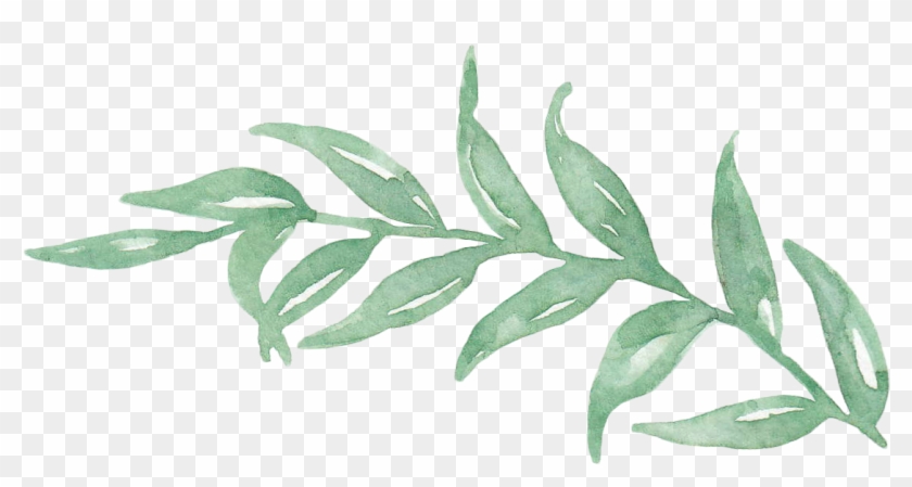 1652 X 928 44 - Leaf Watercolor Png Clipart #1034637