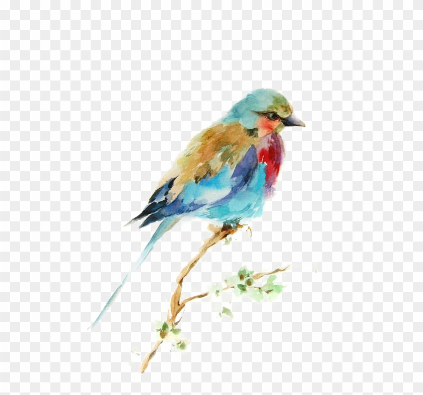 Bird Watercolor Printmaking Drawing Painting Birds - Bird Painting Png Clipart #1034782