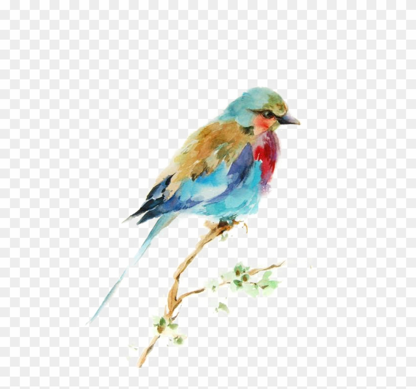 Bird Watercolor Printmaking Drawing Painting Birds - Bird Painting Png Clipart