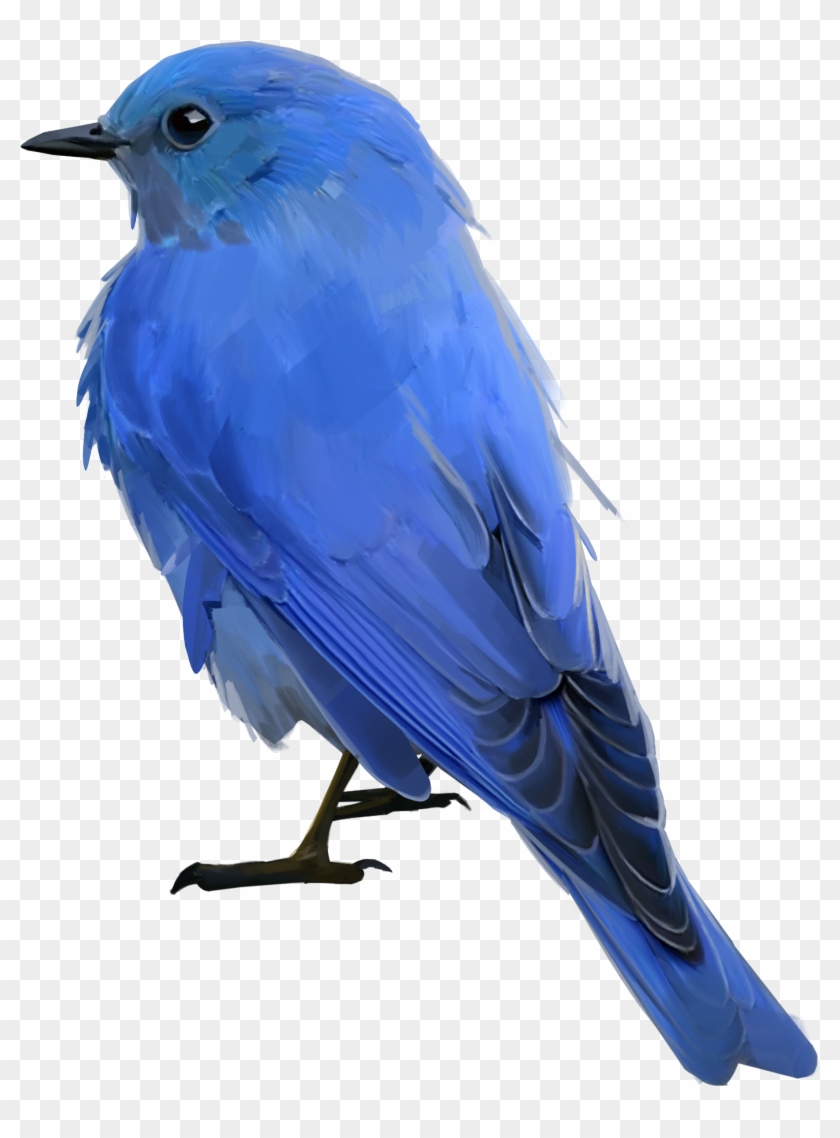 Blue Bird Png - Mountain Bluebird Clipart #1035450