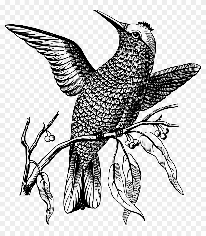 This Free Icons Png Design Of Perching Bird Clipart #1035521