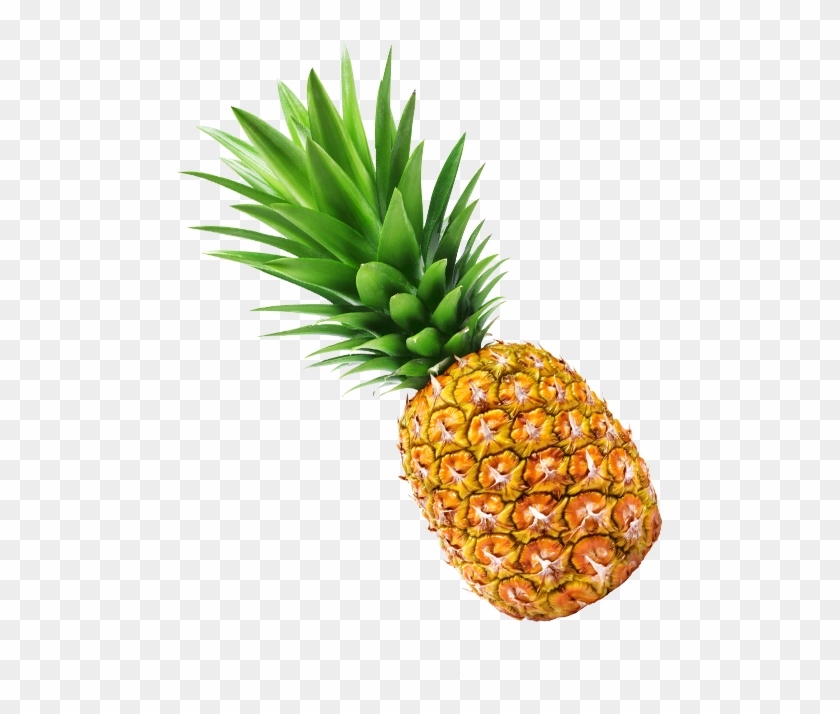 Alternate Text - Pineapple Clipart #1035601