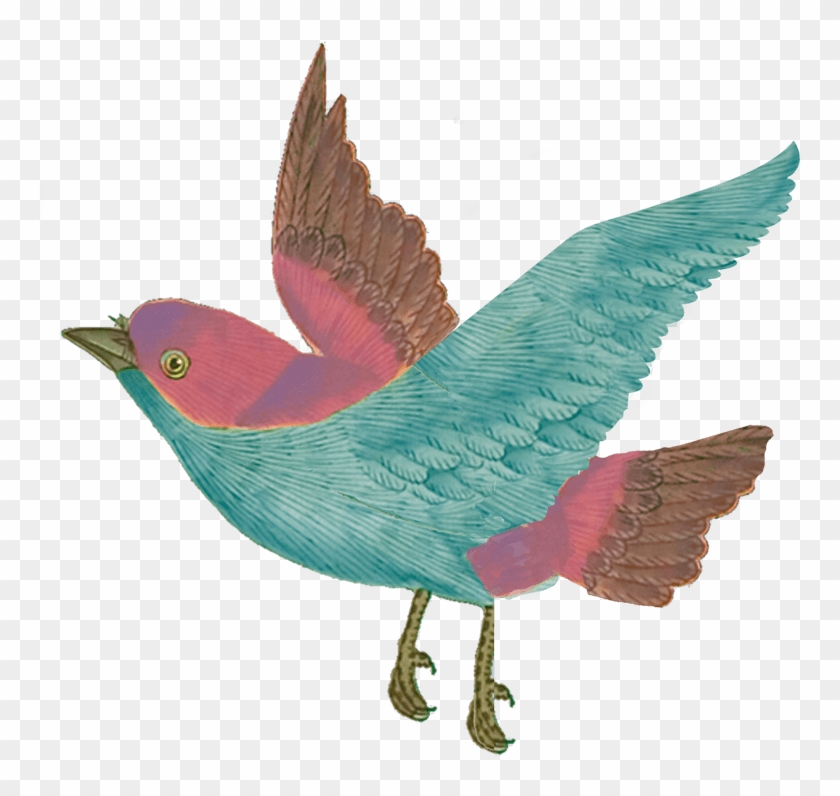 2019 Matthew Williamson - Scarlet Tanager Clipart