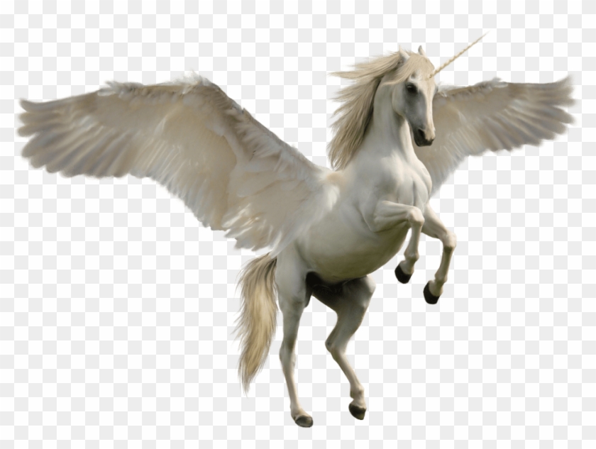 Unicorn Jump - Unicorn Png Clipart