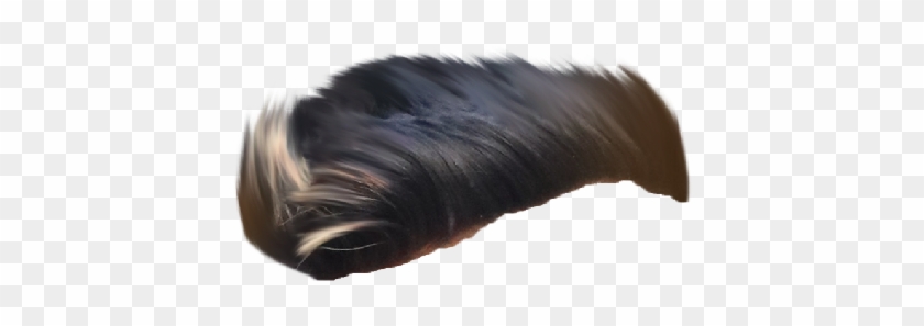 Hair Png ➤ Download - Wig Clipart #1037008