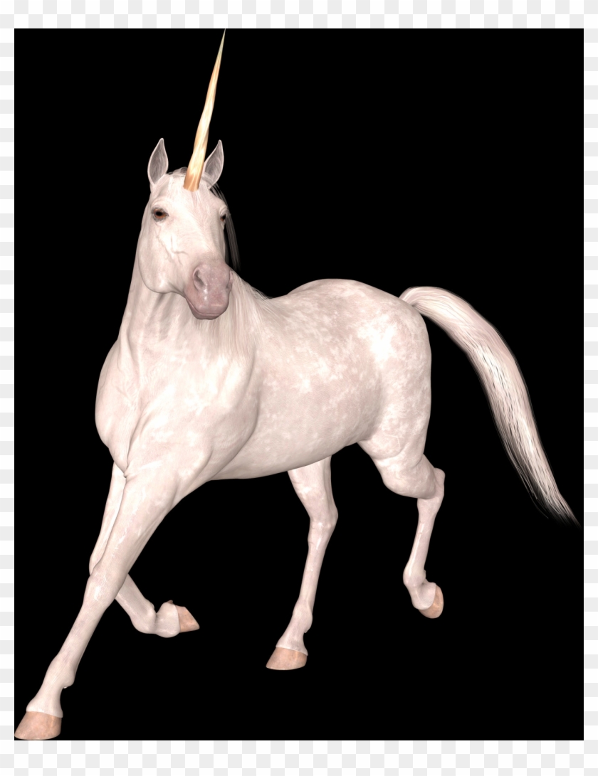 Единорог Пнг Clipart #1037101