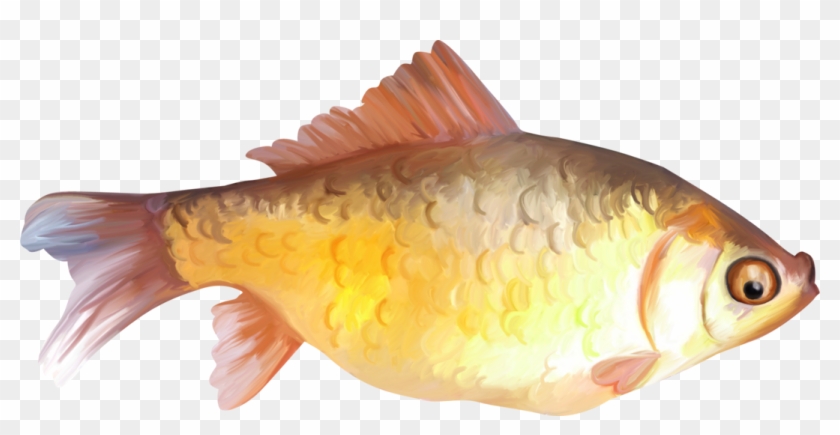 Painted Fish Clipart - Fish Png Paint Transparent Png #1037103