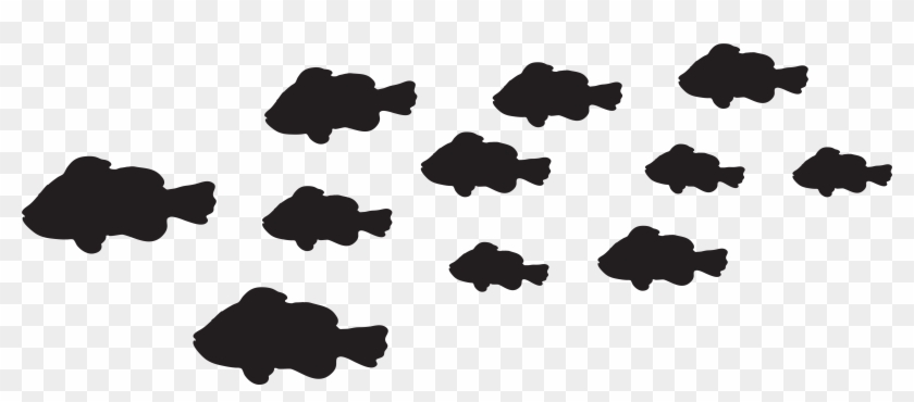 Fishes Png - Fish Silhouette Clipart Png Transparent Png@pikpng.com