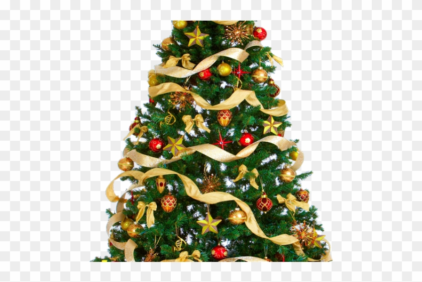 Christmas Tree Png Transparent Images - Christmas Tree Free Download Clipart
