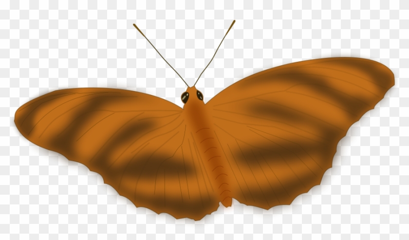 How To Set Use An Ethereal Butterfly Svg Vector Clipart