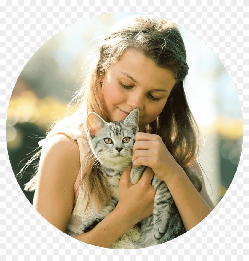 Domestic Short-haired Cat Clipart #1042225