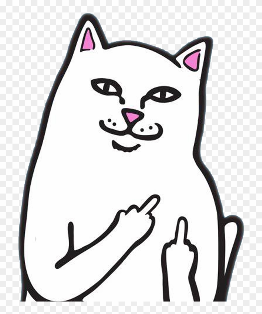 1080 X 1920 52 - Fondos De Pantalla Gato Grosero Clipart