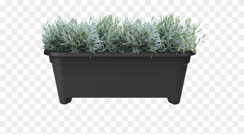 Home > Collection > Green Basics Long - Flowerpot Clipart