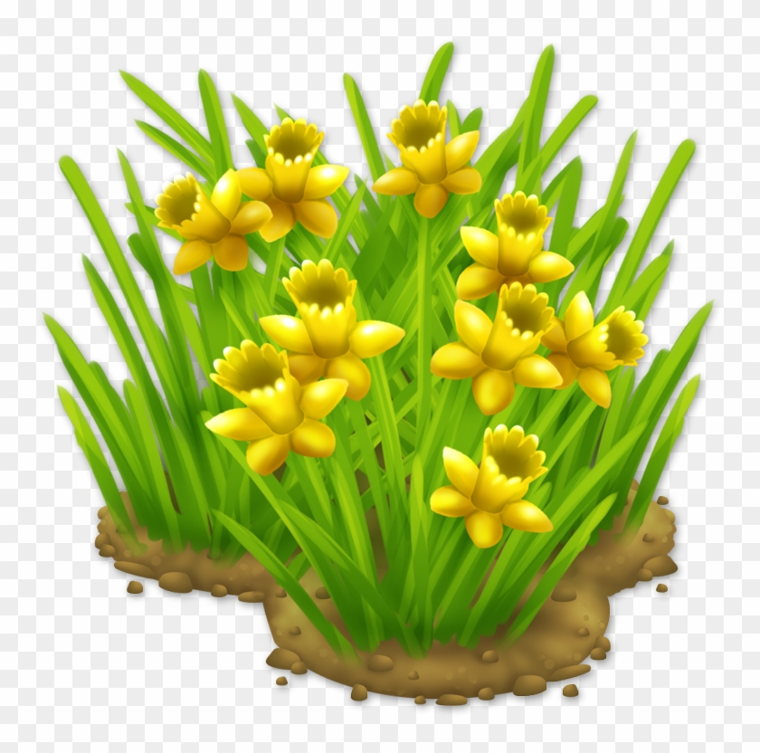 Daffodils Png - Daffodils - Tulip Clipart