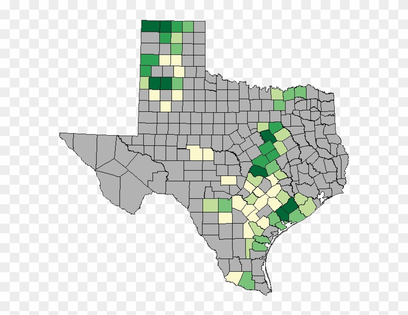 Wheat Grown In Texas , Png Download - Corn In Texas Clipart #1043623