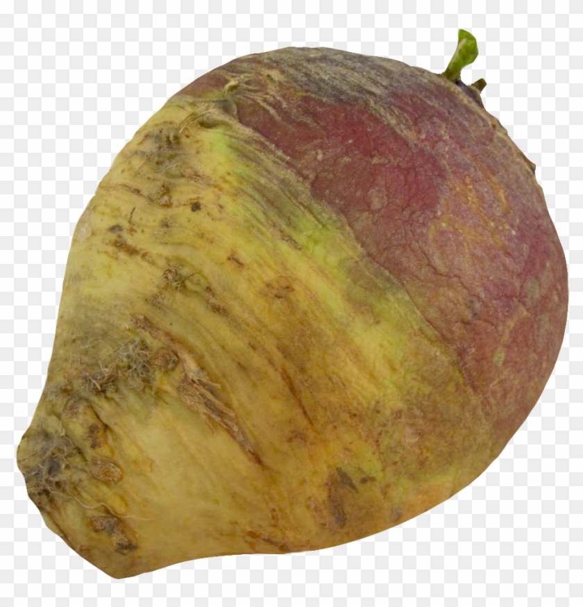 Turnip Rutabaga Root Png Image - Rutabaga Png Clipart #1043667