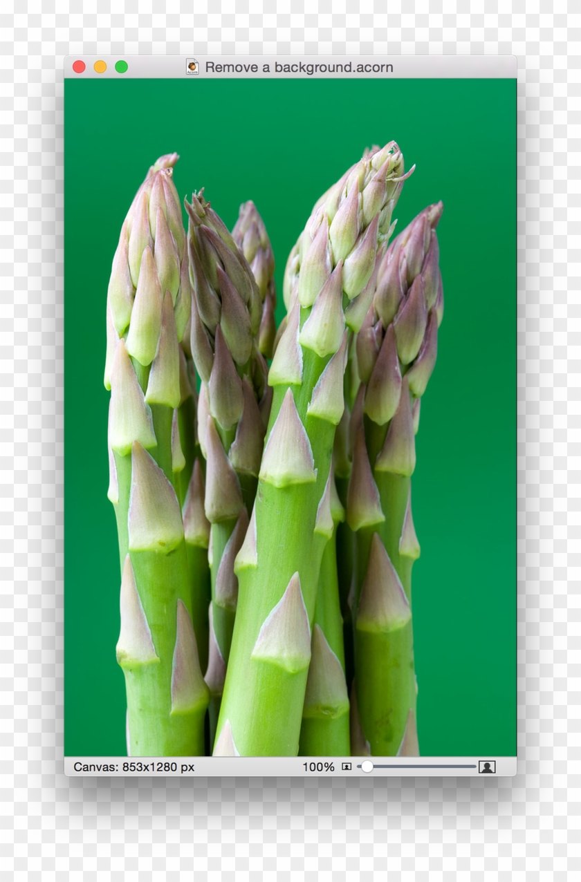 Benefits Of Asparagus Clipart