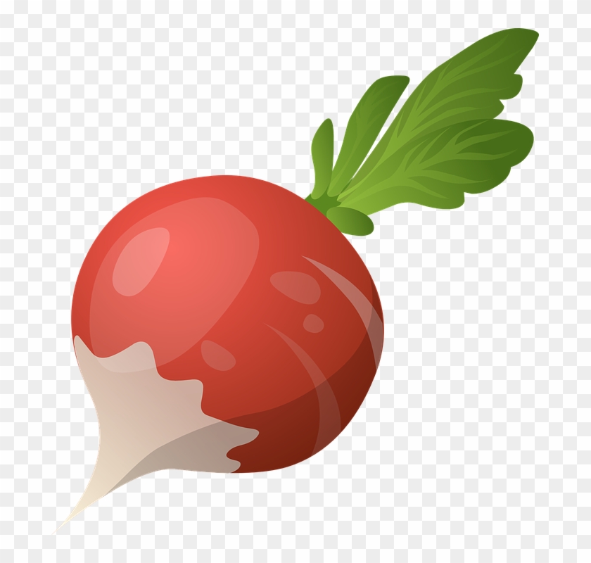 Image Free Leave Free On Dumielauxepices Net - Clipart Beetroot - Png Download #1044106
