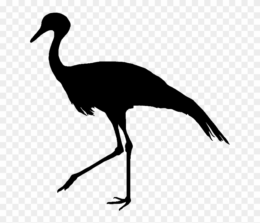 Crane Clipart Blue Crane - Blue Crane Bird Silhouette - Png Download