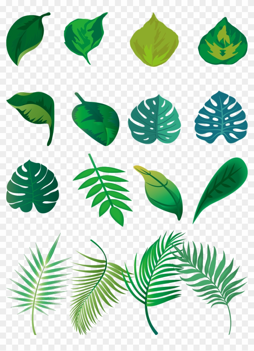Hand Painted Fresh Green Leaves Png And Vector Image Clipart