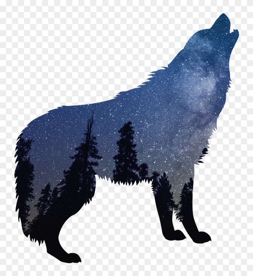 Wolves Wolf Nature - Wolves Png Clipart