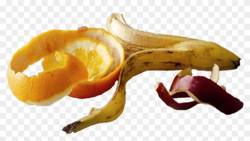 Fruits - Fruit Peels Clipart #1048786