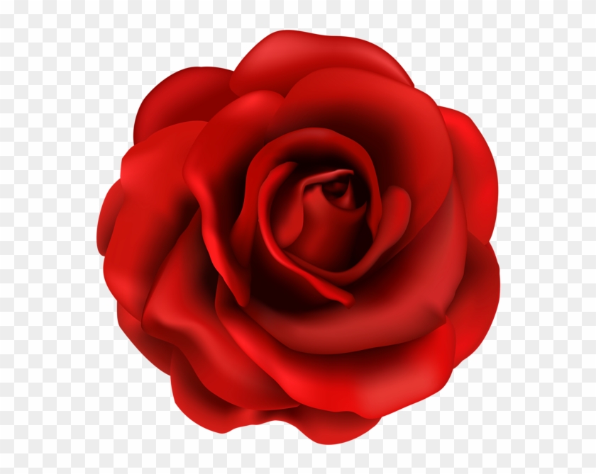Creative Idea Red Rose Clipart Flower Png Image Line - Rose Flowers Images Clip Art Transparent Png