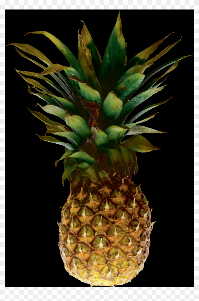 Pineapple Picture With No Background Clipart #1049199