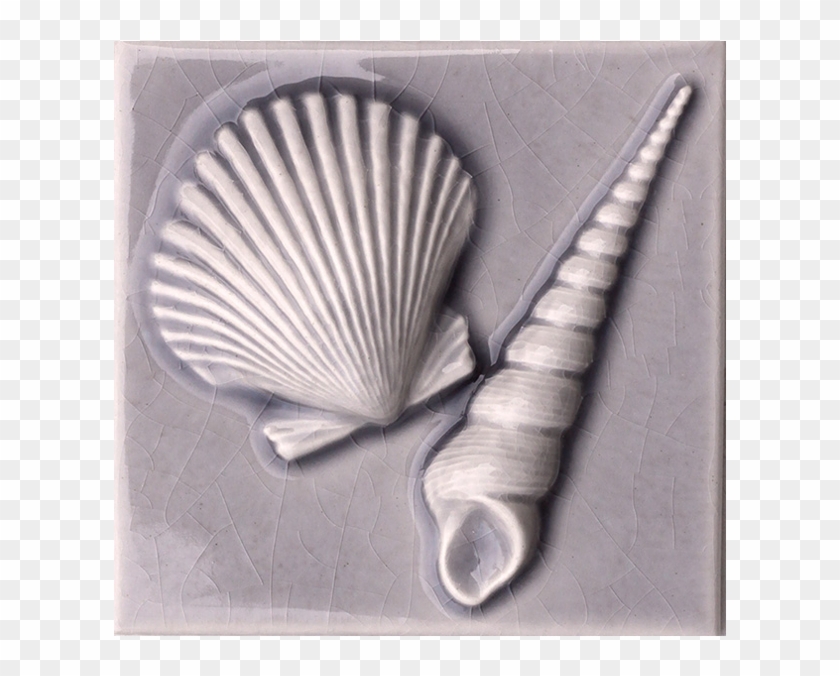 4 1/4" X 4 1/4" Scallop/screw Shells - Shell Clipart #1049233