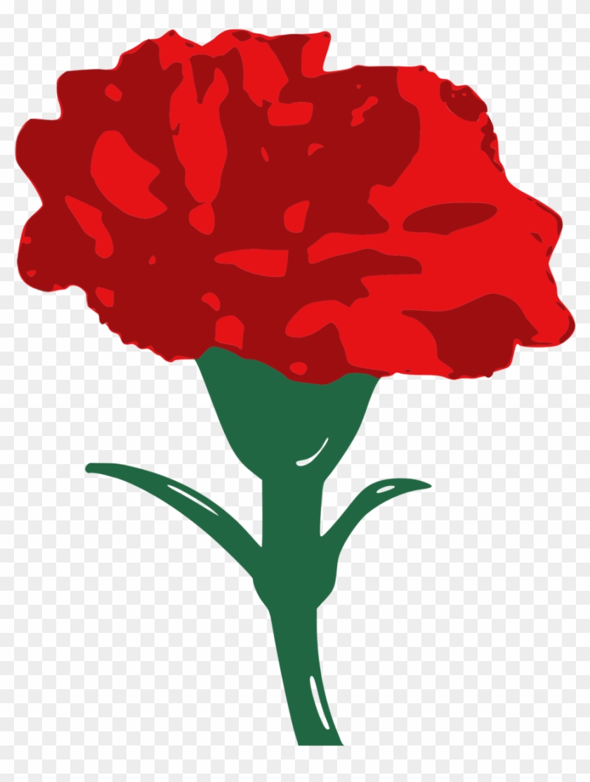 Carnation Png - Red Carnation Clip Art Transparent Png