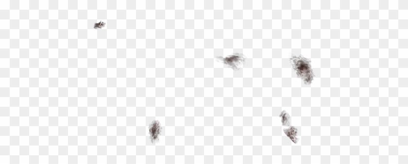 Bruises Transparent Transparent Background - House Fly Clipart