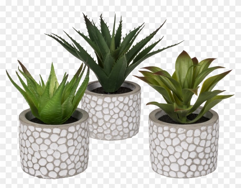 Flowerpot Clipart