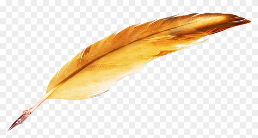 Quill Png - 鹅毛 笔 Clipart