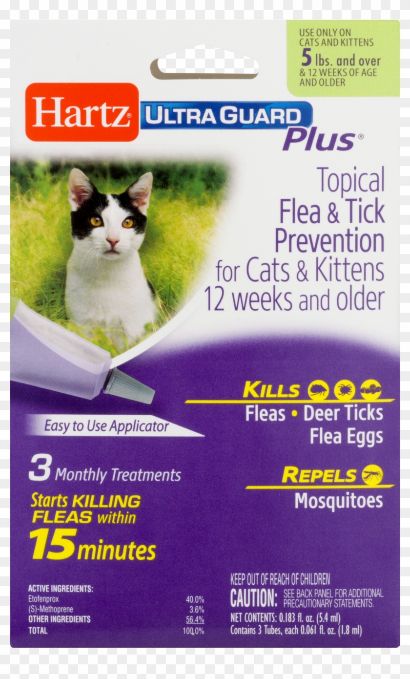 Hartz Ultraguard Plus Topical Flea & Tick Prevention - Domestic Short-haired Cat Clipart #1050339