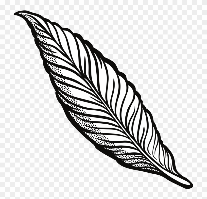 Feather Drawing Line Art Quill Cartoon - Feather Clip Art Transparent - Png Download #1050416