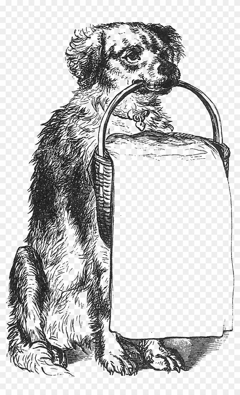 0265 Dog Holding Towel Victorian Advertising Blank - Clip Art - Png Download
