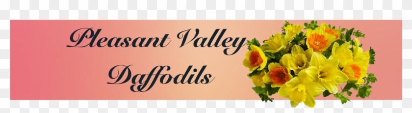 Bouquet Clipart #1051253