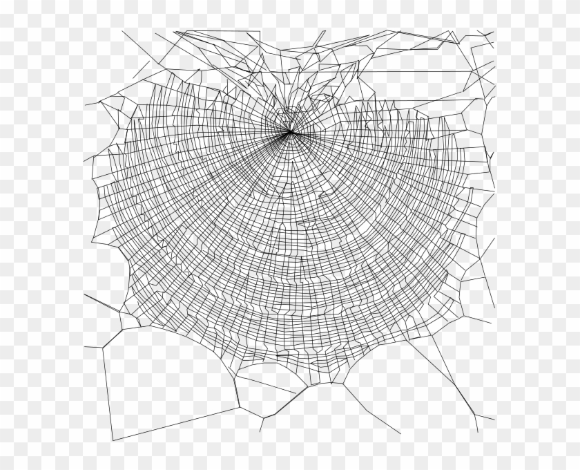 Webs Png - Golden Silk Orb-weaver Clipart #1051353