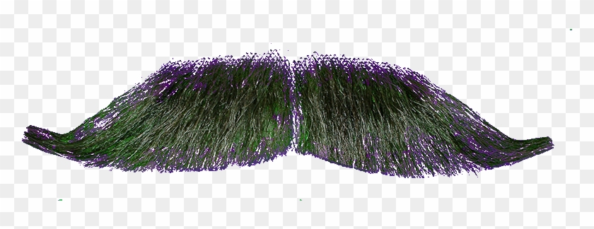 800 X 800 14 - Real Mustache Png Transparent Clipart