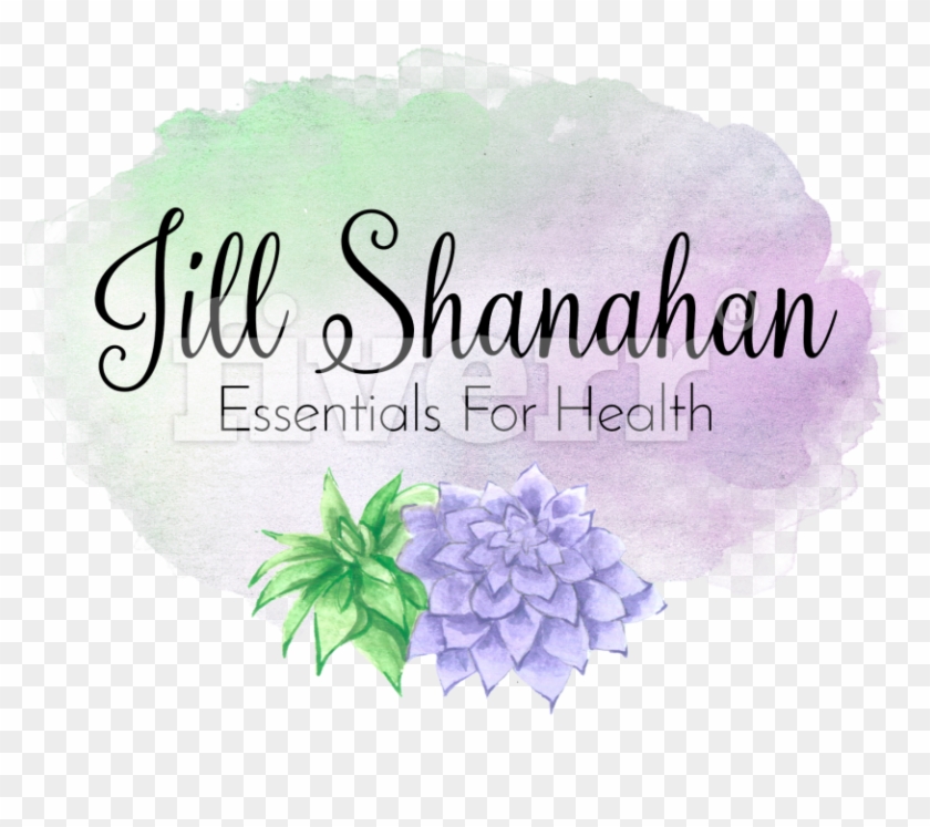 Hydrangea , Png Download Clipart #1052324