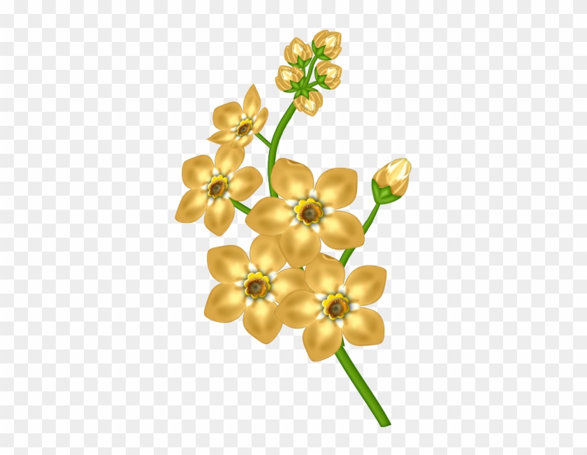Yellow Flowers Transparent Background Clipart