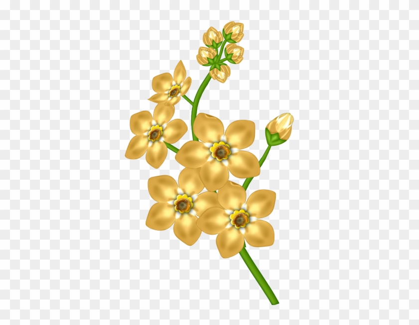 Yellow Flowers Transparent Background Clipart #1053026