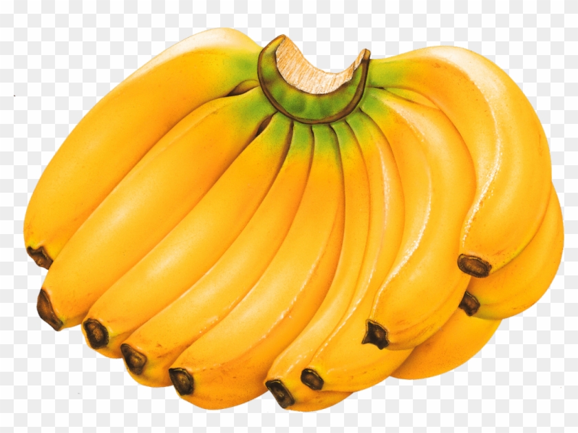 Among - Banana Fruits Clipart #1053852
