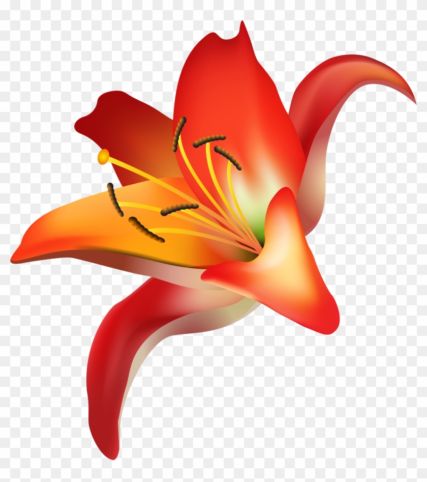 Red Flower Png Clip Art Transparent Image