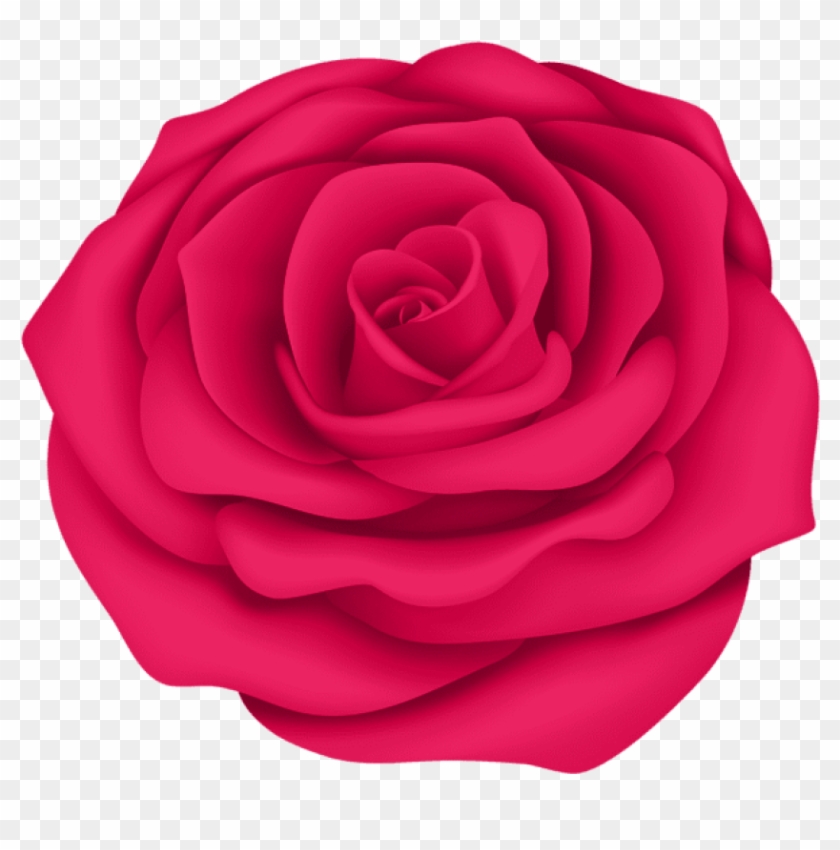 Free Png Pink Rose Flower Transpa Png Images Background - Rosa Azul Desenho Png Clipart