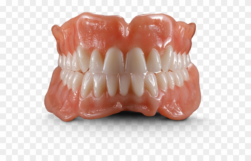 Browse The Largest Selection Of Denture Teeth Available - Full Dentures Dental Labs Clipart #1057180
