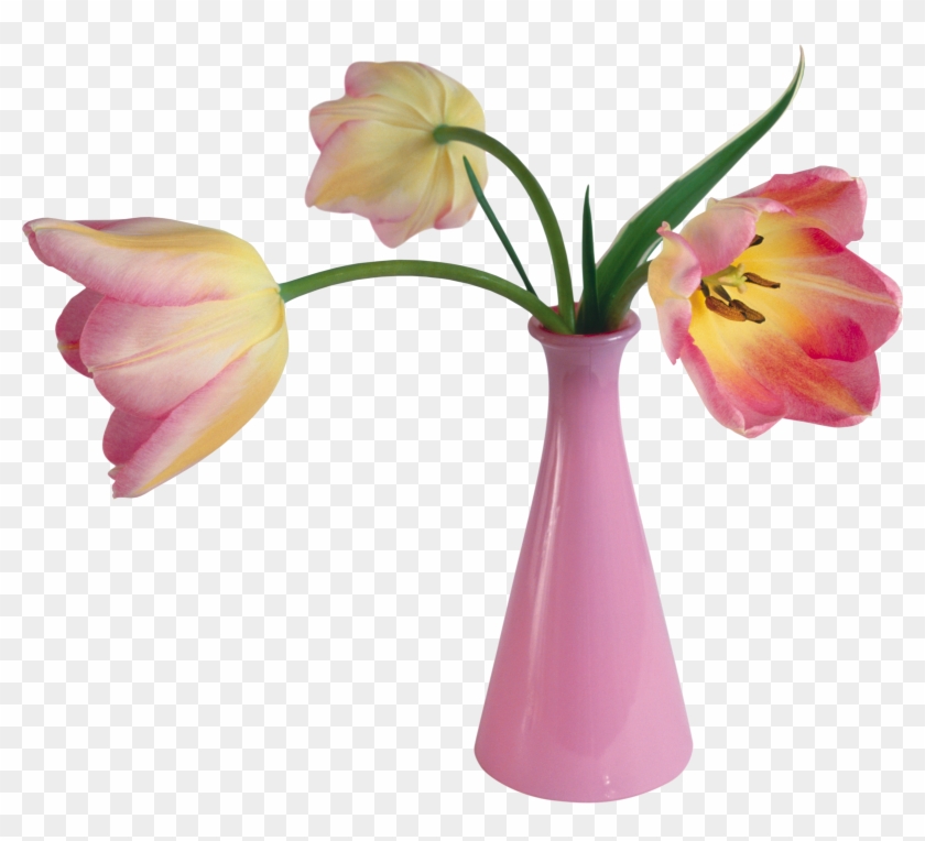 006 Flower Vase Png Designs Vase Png153 - Цветок В Вазе Пнг Clipart #1057339