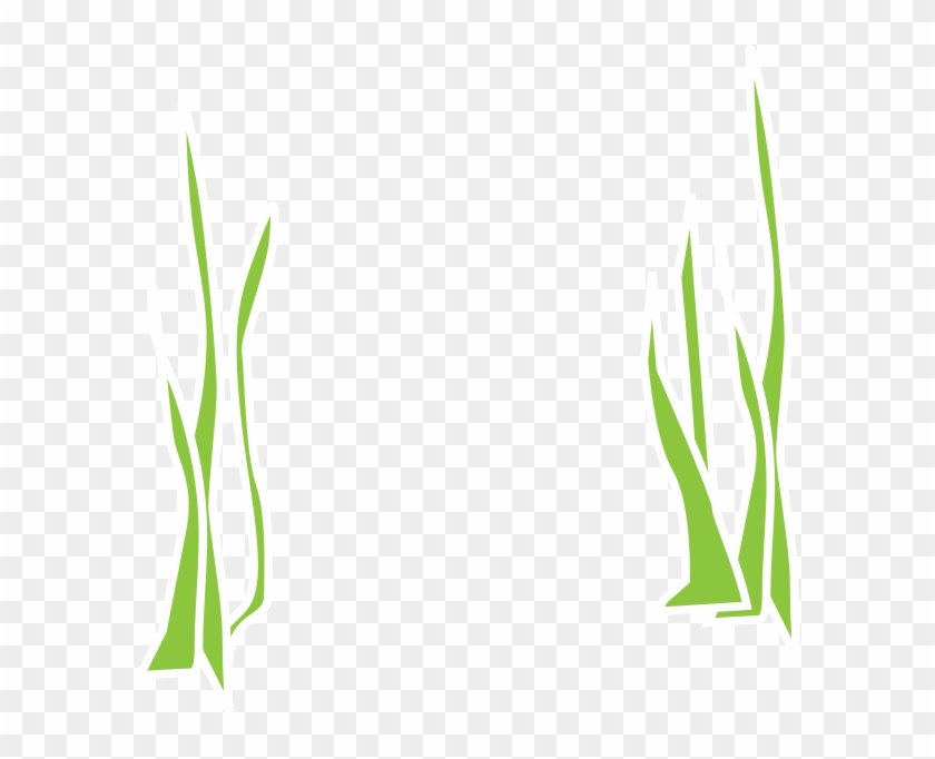Reed Clipart Underwater - Grass Png Underwater Transparent Png #1057594