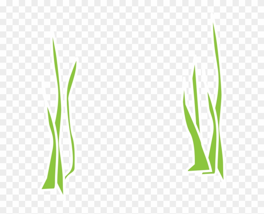 Reed Clipart Underwater - Grass Png Underwater Transparent Png