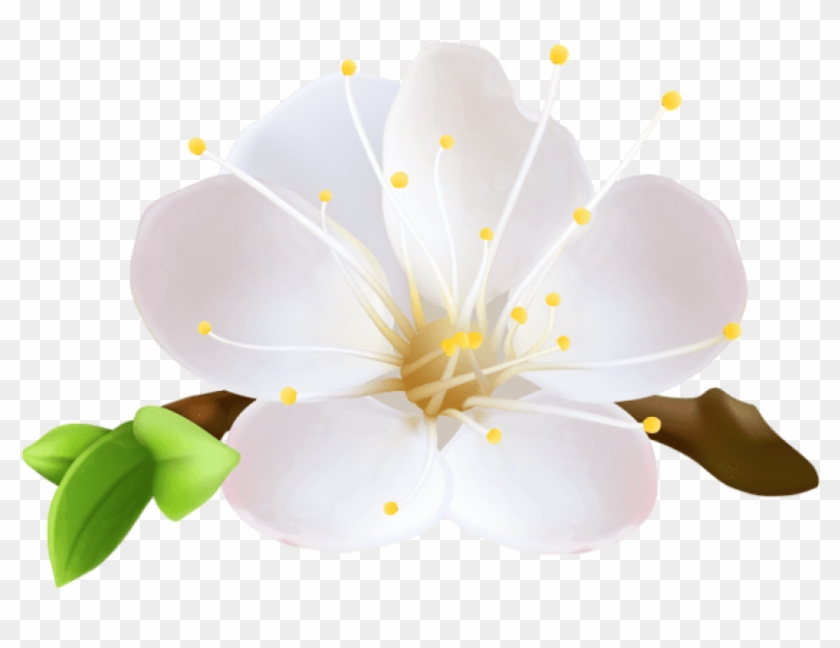 Free Png Spring Flower Png Images Transparent - Flores Moana Png Branca Clipart